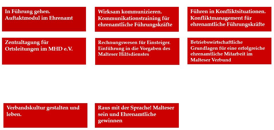 Grafik Leiten mit Leidenschaft